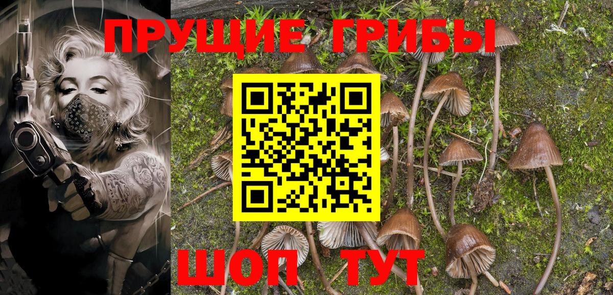 Галлюциногенные грибы GOLDEN TEACHER  Вход с VPN  Псилоцибиновые грибы Cubensis  Ангарск 